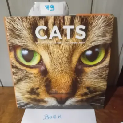 Boek met de titel "Cats", voorzien van een grote kattenafbeelding op de cover (Lot: 79) – kavel bij Goeiendeal, Lommel