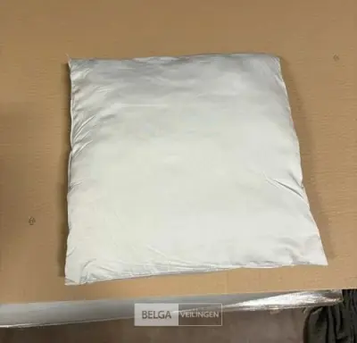 Kussens 40x40 cm (104 st/doos) – kavel bij Belga Veilingen, Poppel