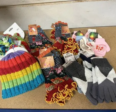 Partij winteraccessoires – kavel bij Belga Veilingen