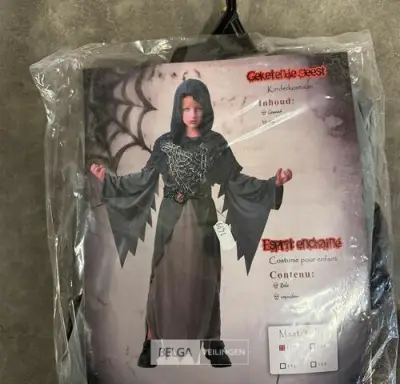 Halloween decoratie – kavel bij Belga Veilingen