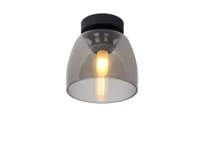 Lucide Tyler Zwart Plafondlamp – kavel bij XL Auctions