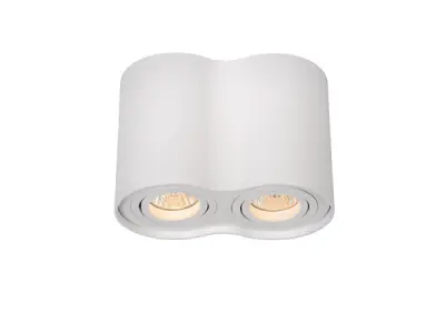 Lucide Tube Modern Surface Mounted Ceiling Spotlight 2x GU10 – kavel bij XL Auctions