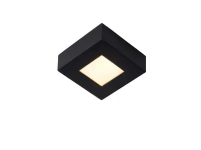 Lucide BRICE-LED – Plafonnière Badkamer - Zwart – kavel bij XL Auctions