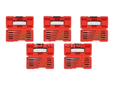 5 sets bits voor het verwijderen van KRAFT&DELE-schroeven – kavel bij Auctelia, Aye