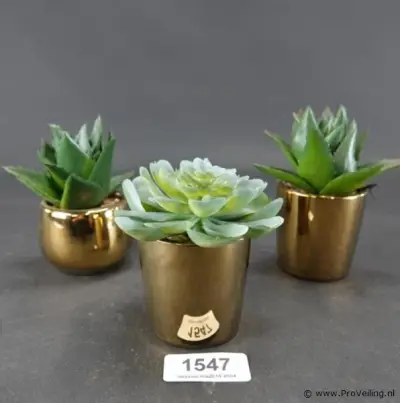 3 kunst cactussen in pot – kavel bij ProVeiling