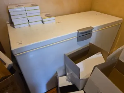 (6x) Diverse koel/ diepvriezers Zanussi, Domo – kavel bij Auctim, Gent