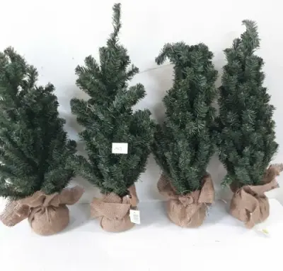 4 x Kerstboom met kluit 60 cm – kavel bij Belga Veilingen, Oudsbergen