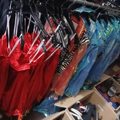 Barokke pakken verkleedkleding/carnaval – kavel bij Onlineveilingmeester, Drachten