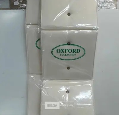 2 x Zitkussen voor bank 10x45 cm – kavel bij Belga Veilingen, Oudsbergen
