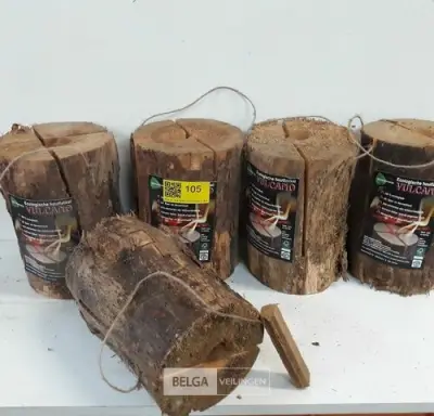 5 x Zweedse fakkel Vulcano – kavel bij Belga Veilingen, Oudsbergen