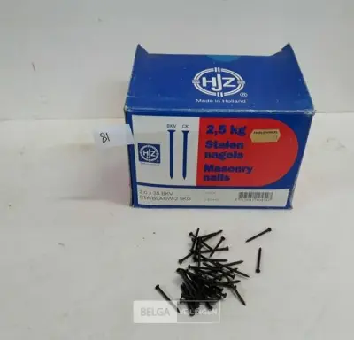 1 x Stalen nagels bolle kop 2,0x30mm +/- 2 kg – kavel bij Belga Veilingen, Oudsbergen
