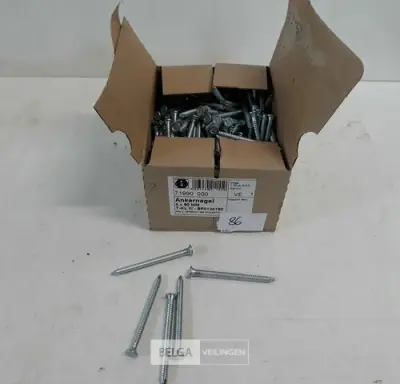 1 x Ankernagels geribbeld 4,0x60 mm 1 kg – kavel bij Belga Veilingen, Oudsbergen