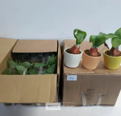 24 x Kunstplant in potje – kavel bij Belga Veilingen, Oudsbergen