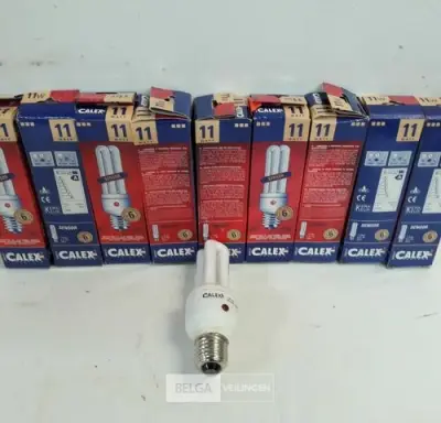 10 x Spaarlamp E27 11W met dag/nacht sensor – kavel bij Belga Veilingen, Oudsbergen