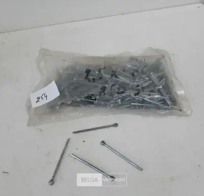 230 x Splitpennen 3,5x40 mm – kavel bij Belga Veilingen, Oudsbergen