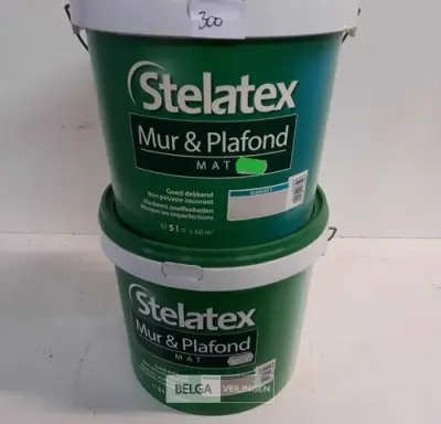 2 x Muur en plafond verf Stelatex 5L – kavel bij Belga Veilingen, Oudsbergen