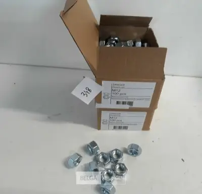 2 x Zeskantmoeren verzinkt M 12 100 stuks – kavel bij Belga Veilingen, Oudsbergen