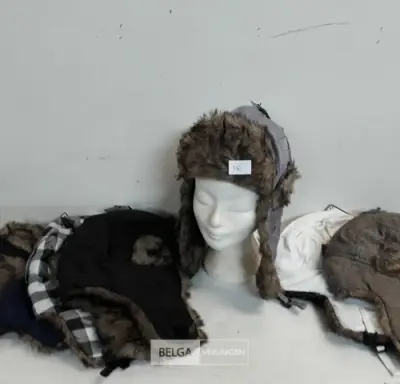 6 x Wintermuts Boris mix kleuren – kavel bij Belga Veilingen, Oudsbergen