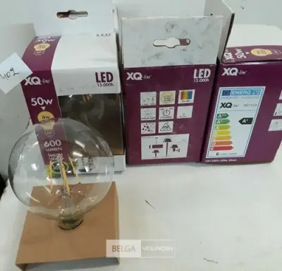 4 x LED vervanglamp grote peer E27 6W – kavel bij Belga Veilingen, Oudsbergen