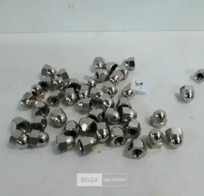 1 x Dopmoer inox M12 45 stuks – kavel bij Belga Veilingen, Oudsbergen