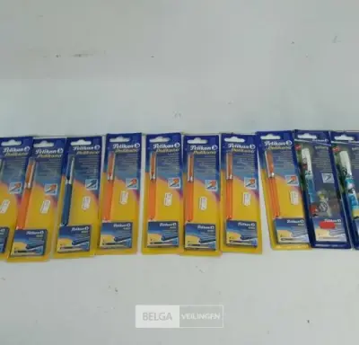 10 x Schoolvulpen assorti – kavel bij Belga Veilingen, Oudsbergen