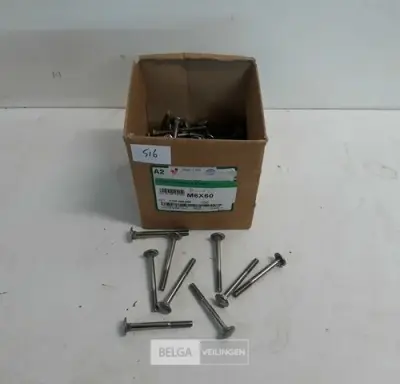 1 x Houtbout INOX M6x60 mm 100 stuks – kavel bij Belga Veilingen, Oudsbergen