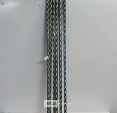 6 x Borstelsteel 120 cm geplastificeerd – kavel bij Belga Veilingen, Oudsbergen
