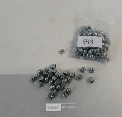 1 x Dopmoer verzinkt M 4 100 stuks – kavel bij Belga Veilingen, Oudsbergen