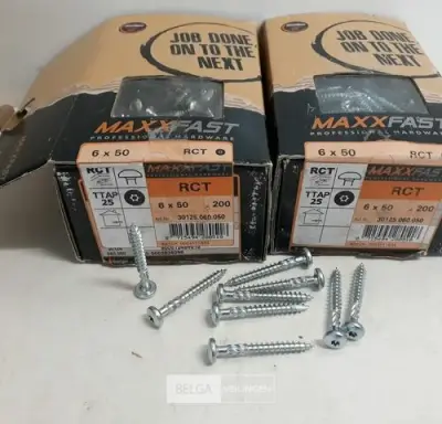 2 x Houtschroeven wit verzinkt 6x50mm 200 stuks – kavel bij Belga Veilingen, Oudsbergen