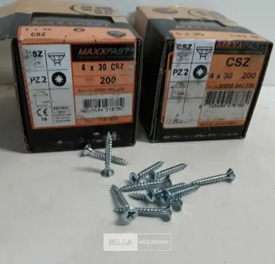 2 x Houtschroeven wit verzinkt 4x30mm 200 stuks – kavel bij Belga Veilingen, Oudsbergen