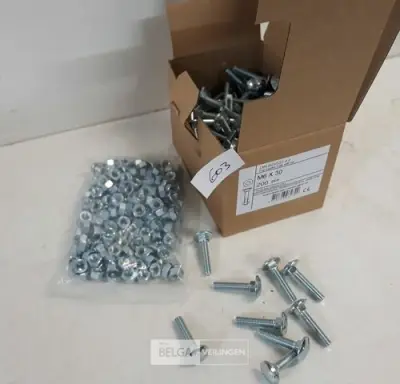 1 x Houtbout met moer verzinkt M 6 x 30 mm 200 stuks – kavel bij Belga Veilingen, Oudsbergen