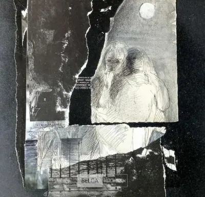 Collage zwart-wit, Lieve Walbers – kavel bij Belga Veilingen
