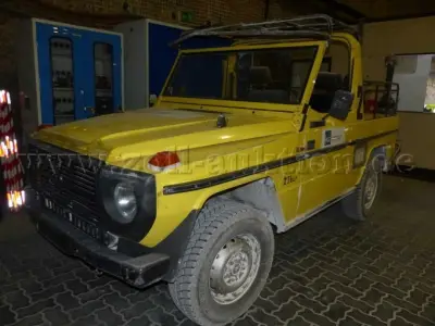 1 Mercedes-Benz terreinwagen, G-model 290 GD – kavel bij Zoll-Auktion, Gorleben