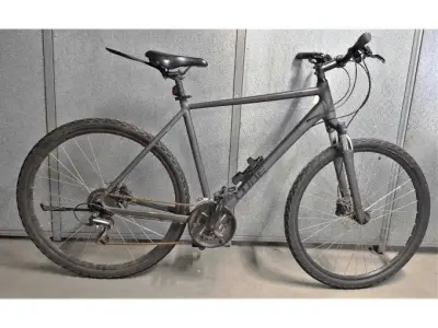 1 Crossrad, Cube Nature, grau, 24-Gang, 28", RH56 – kavel bij Zoll-Auktion, Frankfurt am Main