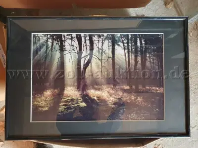 2 fotolijsten - 61 x 41 cm - zwart, fabrikant onbekend – kavel bij Zoll-Auktion, Nuthe-Urstromtal