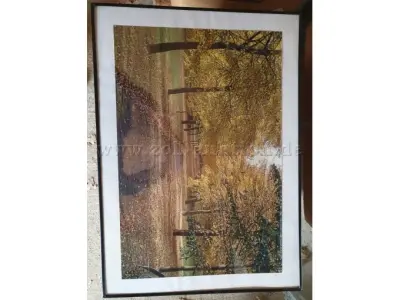 1 fotolijst - 70,5 x 50,5 cm - zwart, fabrikant onbekend – kavel bij Zoll-Auktion, Nuthe-Urstromtal