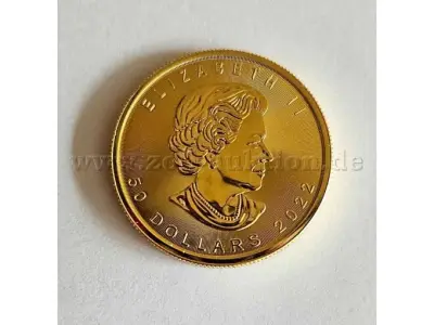 1 gouden munt Maple Leaf 2022, zuiverheid 999,9/1000 – kavel bij Zoll-Auktion, Rostock
