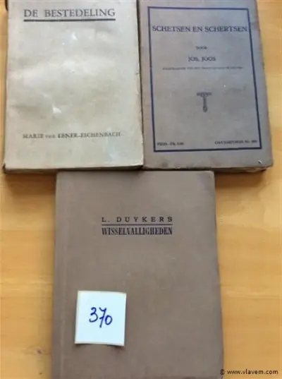 Boeken 3st Vlaamse schrijvers – kavel bij Vlavem