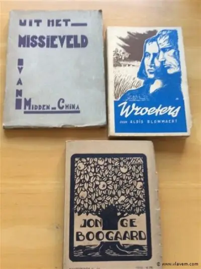 Boeken 3st – kavel bij Vlavem