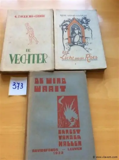 Boeken 3st Vlaamse schrijvers – kavel bij Vlavem