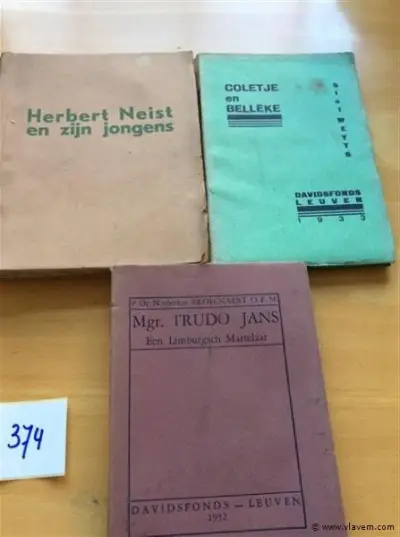 Boeken 3st Vlaamse schrijvers – kavel bij Vlavem