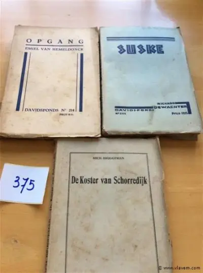 Boeken 3st Vlaamse schrijvers – kavel bij Vlavem