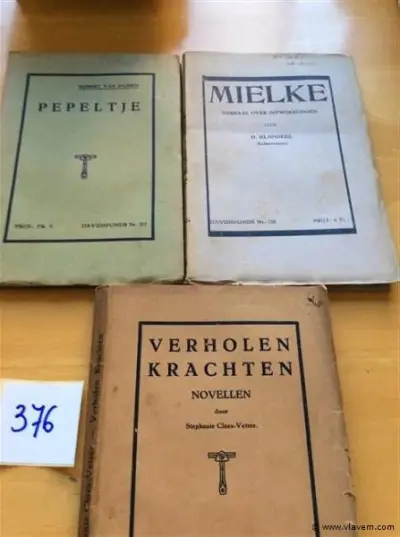 Boeken 3st Vlaamse schrijvers – kavel bij Vlavem