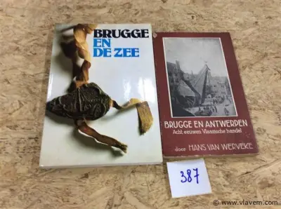 Boeken 2st Brugge – kavel bij Vlavem
