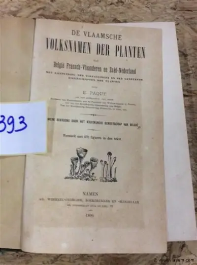Boek " De Vlaamse Volksnamen der planten " 1896 – kavel bij Vlavem