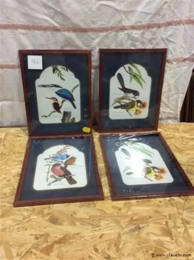 Lot kaders vogels 4st ( in verpqkking ) – kavel bij Vlavem