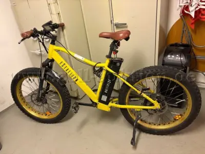 1 elektrische fiets „eStallion High“, framemaat 52 cm – kavel bij Zoll-Auktion, Wesendorf