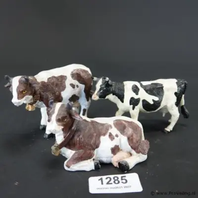3 koeien – kavel bij ProVeiling, Nederland