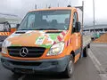 Lkw Mercedes 313 CDI Sprinter Pritsche – kavel bij VEBEG, Rüsselsheim