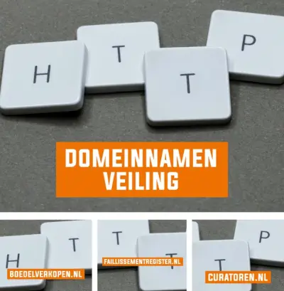Veiling van domeinnamen wegens algehele liquidatie van Curatoren.nl B.V – veiling bij Plaats Je Bod, N.v.t.